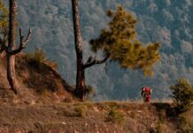 2024 How to Reach Darjeeling From Nagpur? How to Reach Darjeeling From Nagpur