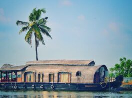 Places to Visit in Kerela for a Honeymoon